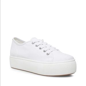 Steve Madden Elore Platform Sneaker